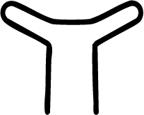 Vector
