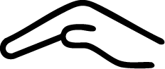 Vector