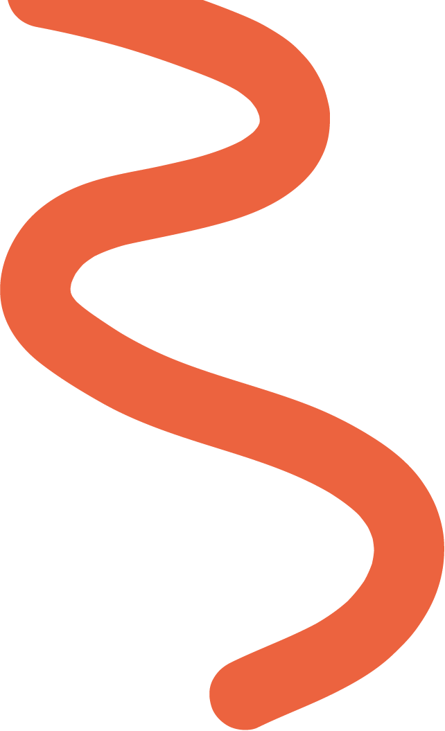 Vector