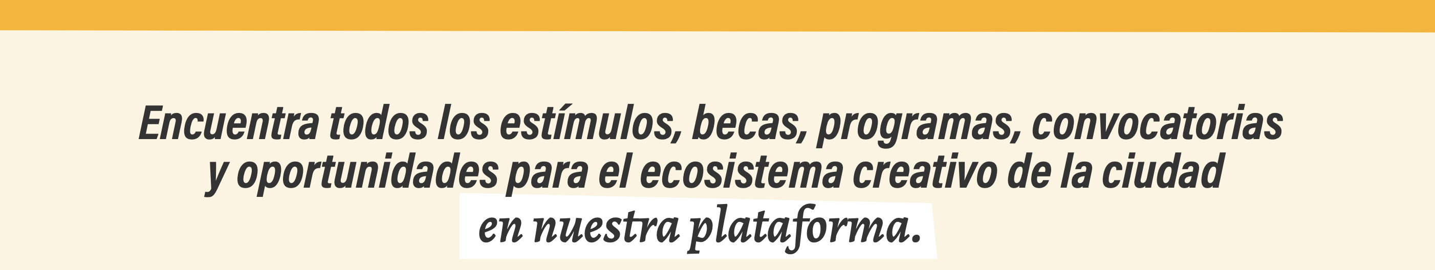 Encuentra todos los estímulos, becas, programas, convocatorias y oportunidades...