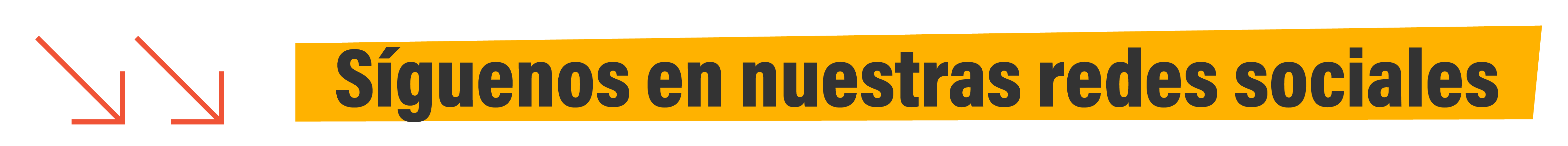 Síguenos en nuestras redes sociales