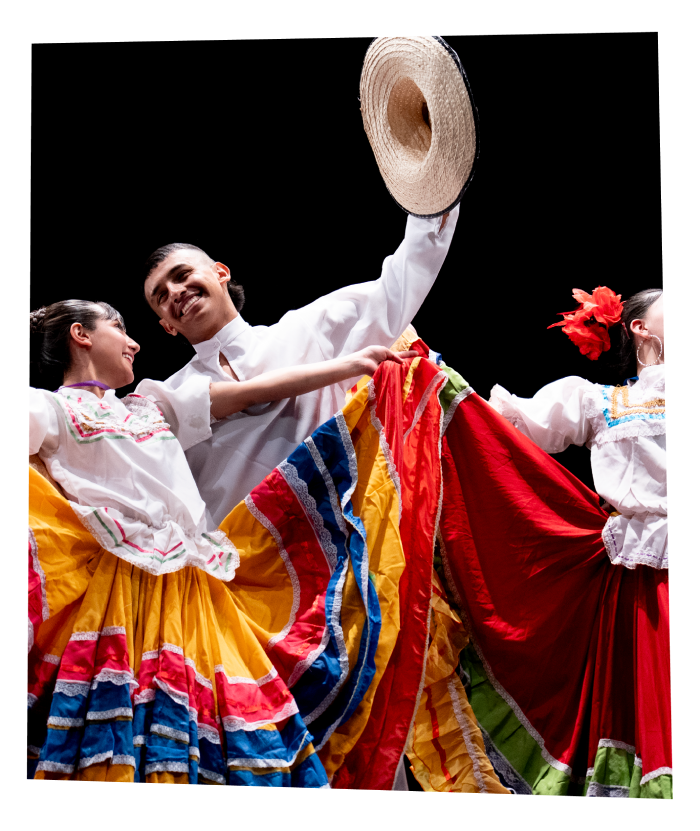 Programa Más Cultura Local - MCL