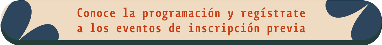 Programación
