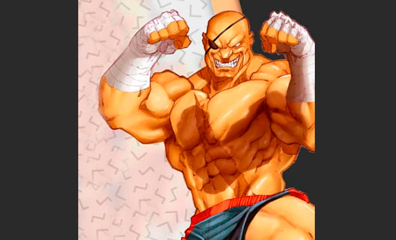 ilustración de persona practcando artes marciales