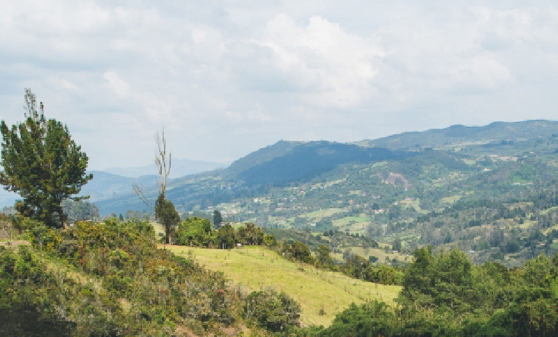 Panorámica Vereda El Verjón