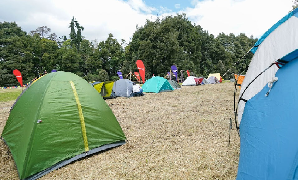 carpas de acampar en un parque