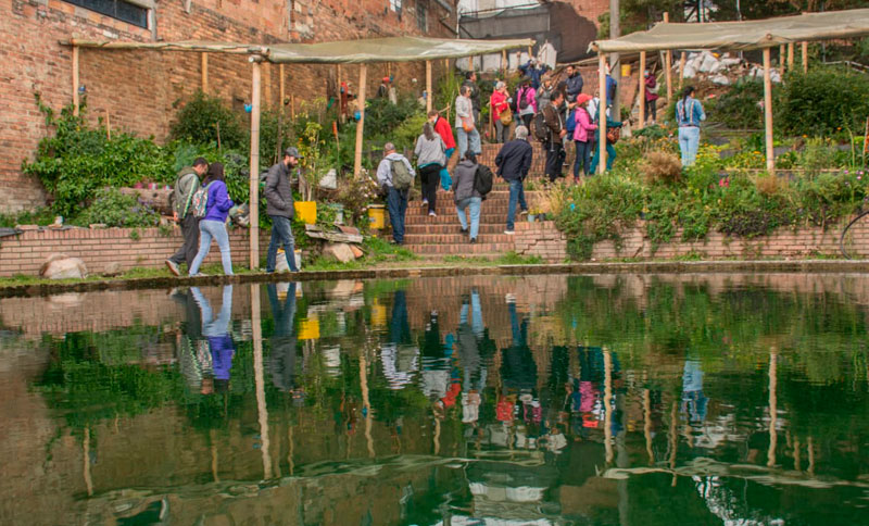 personas realizando una caminata
