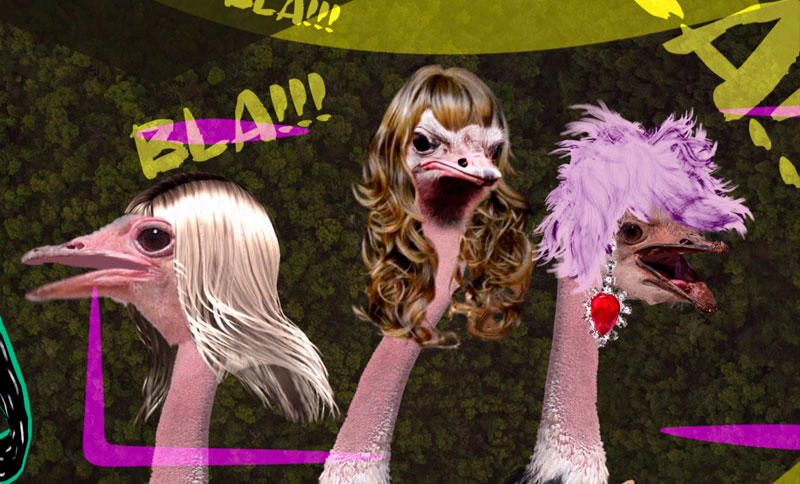 Animalxs, no estamos locxs