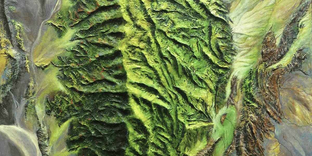 fragmento de un espacio de montaña con relieve