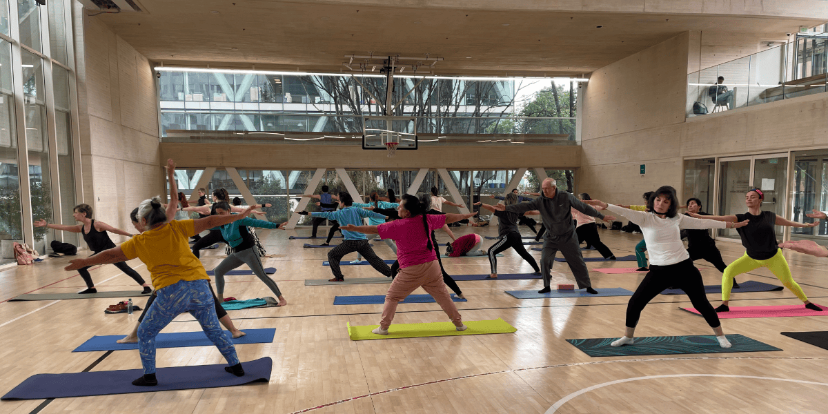 Fotografía de varias personas realizando una práctica de yoga.
