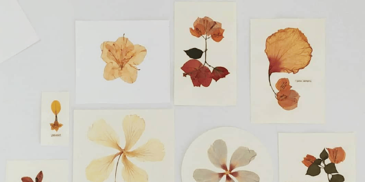 Fotografía de collage de varias flores en estampadas en papel