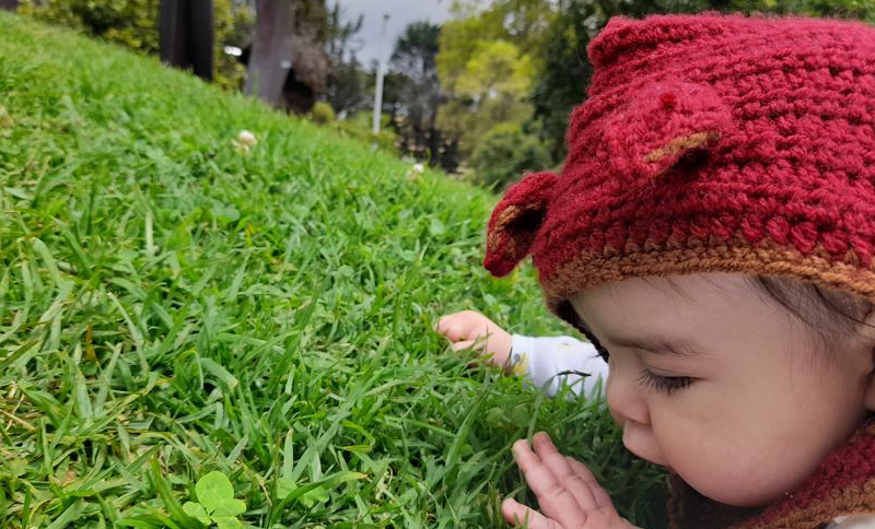 Bebé gateando en el pasto