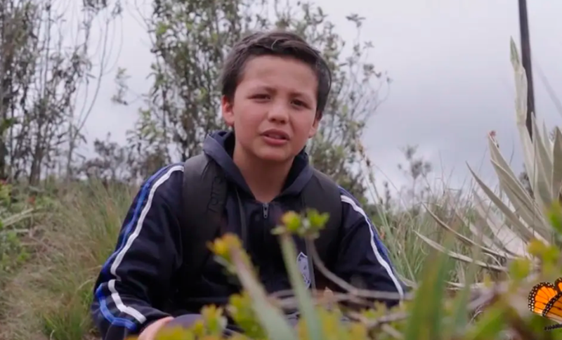 Día Internacional contra el Cambio Climático 