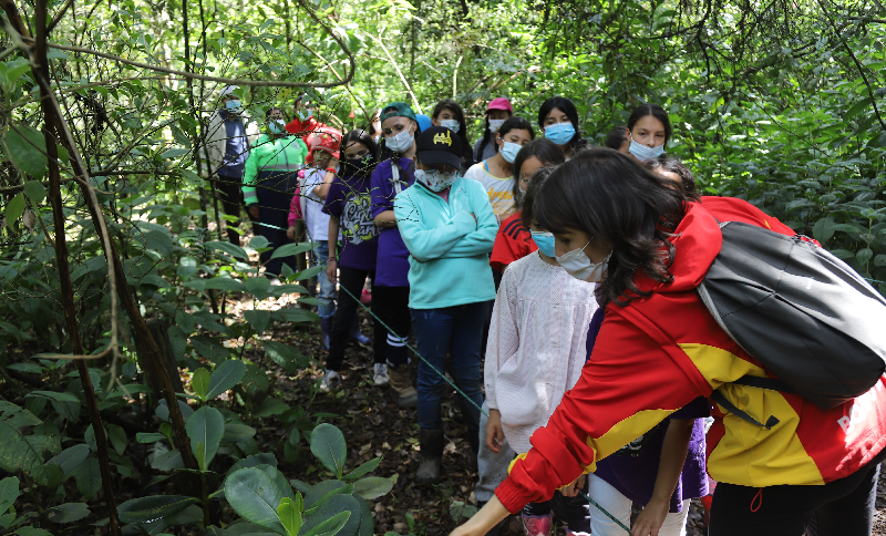 Personas en una caminata ecológica