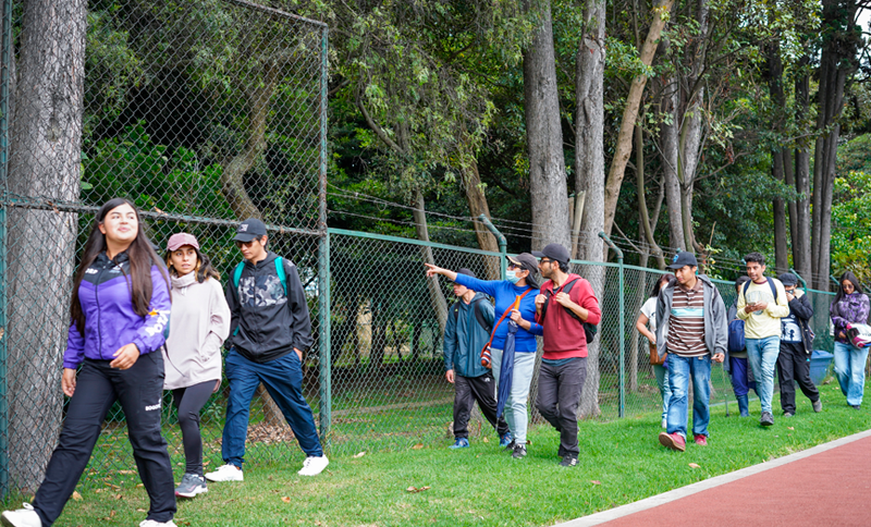 personas haciendo una caminara en un parque