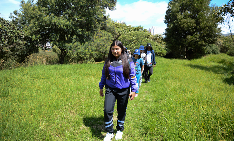 Grupo de personas realizando una caminata