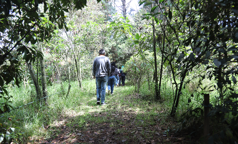 Personas caminando por la naturaleza