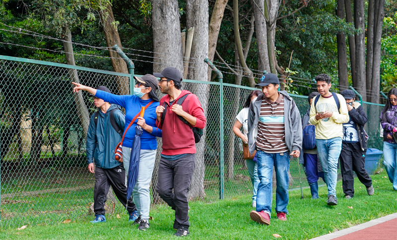 Personas realizando una caminata ecológica