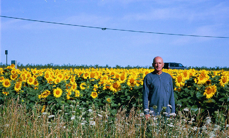 hombre en campo de girasoles