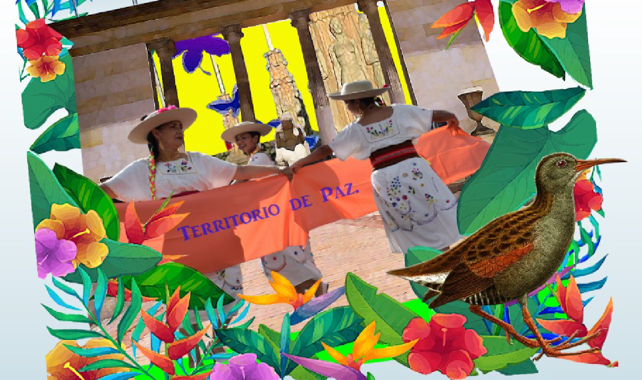 Pieza que cuenta con ilustraciones de ka flora y fauna de Colombia y de fondo que sirven como marco a una foto de tres mujeres bailando con traje blanco y bordados con un letrero que dice territorio de paz