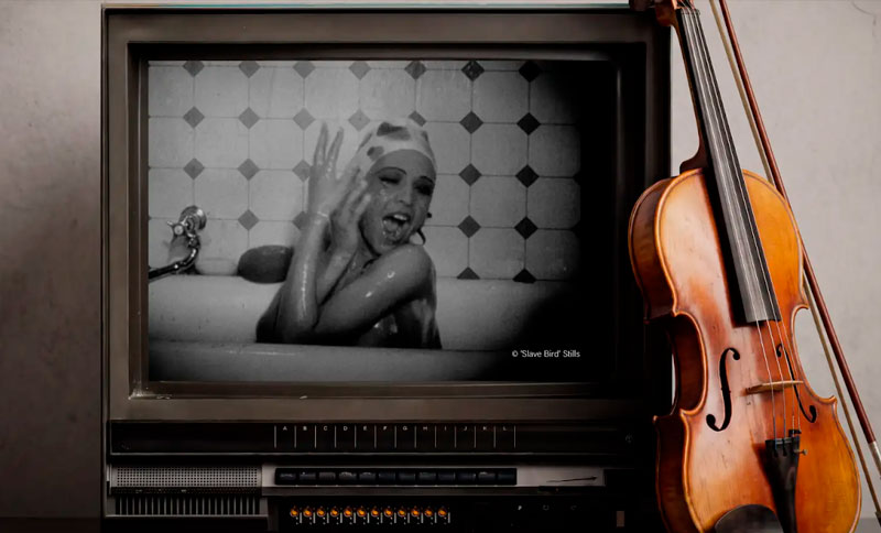 Cine concierto