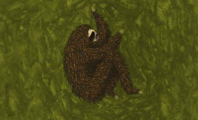 Ilustración de un oso perezoso