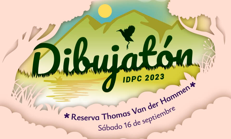 Ilustración de un paisaje verde y la palabra Dibujatón