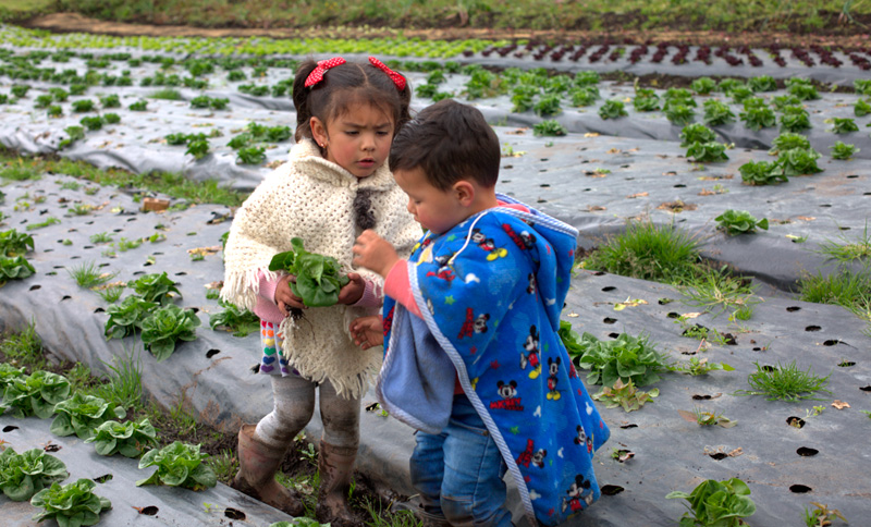 Un niño y una niña en medio del campo