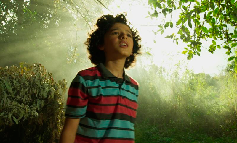 NIño mirando al horizonte