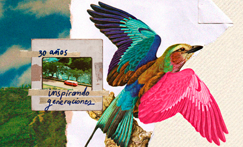 ilustración de pájaro volando