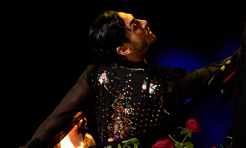 Artista bailando flamenco