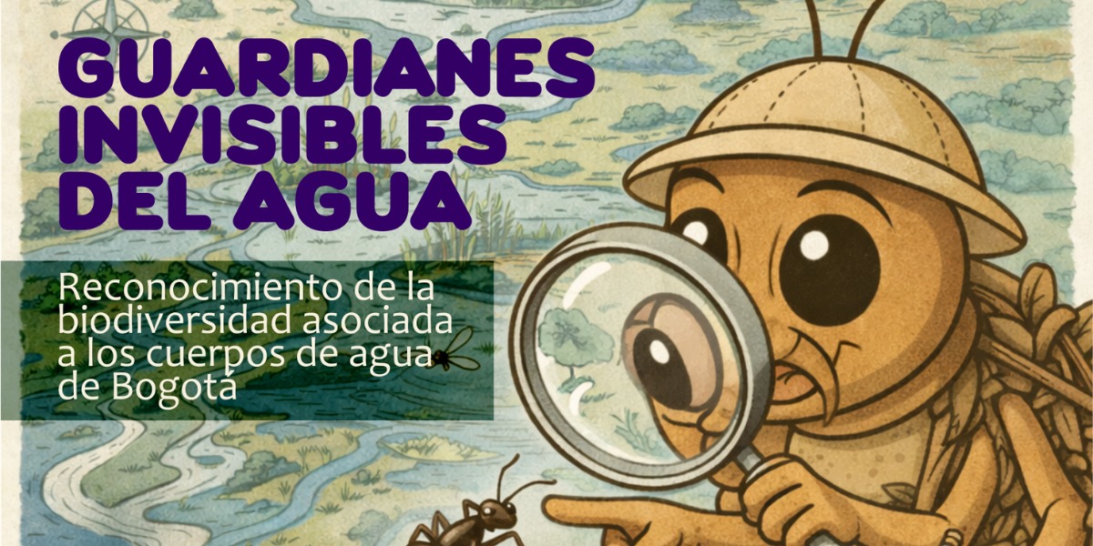 Afiche de guardianes invisibles.