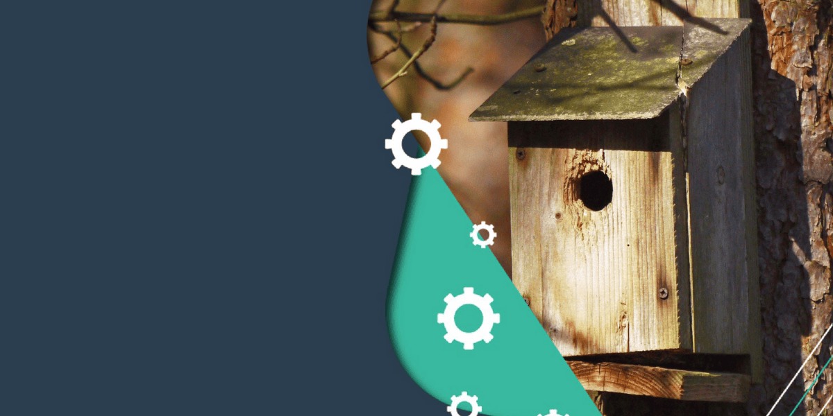 Foto caseta para pájaros