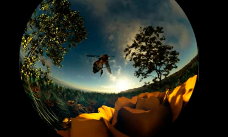 Franja Conversaciones inusuales