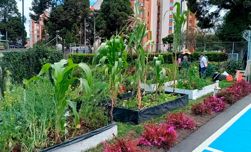 La Huerta Uaque Maloka cumple 2 años