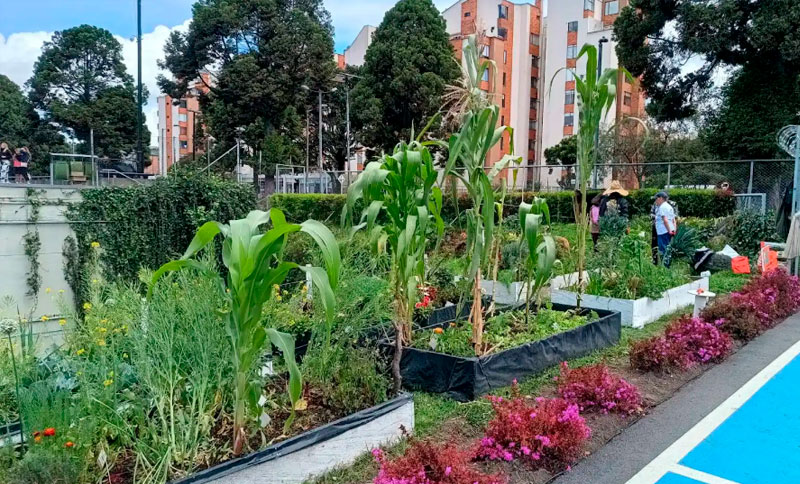 Minga por la huerta