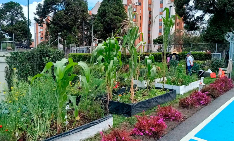 Árboles y compost más allá de nuestro territorio