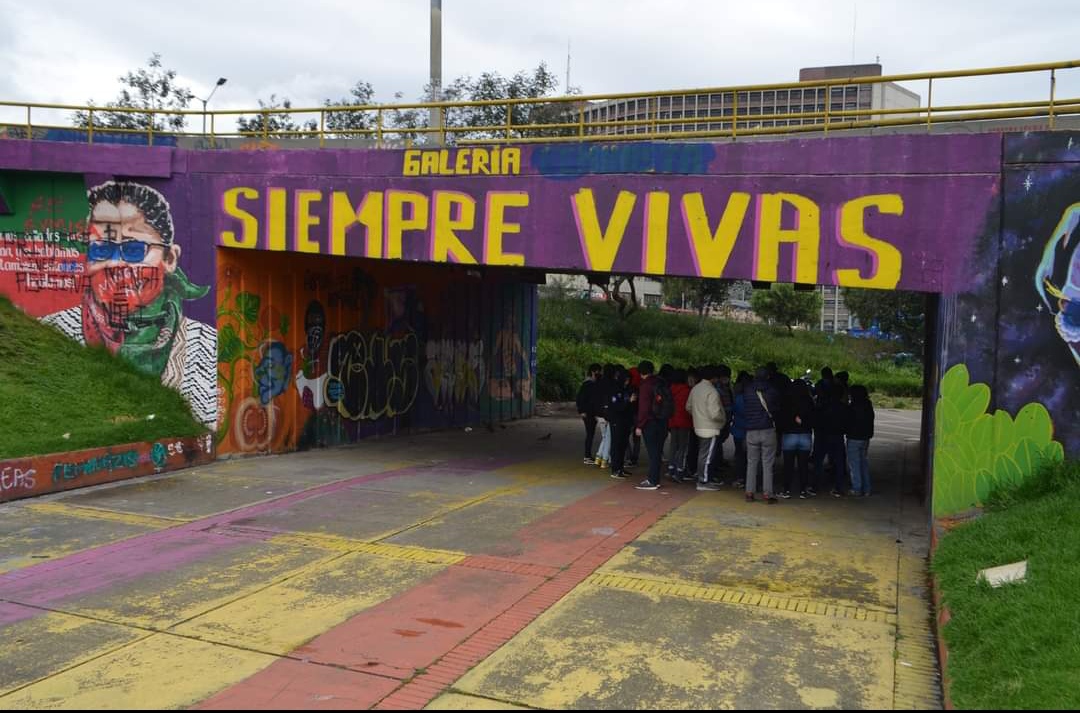 Galería Siempre Vivas