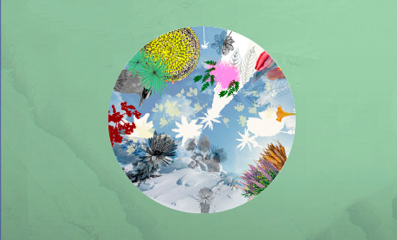 Las cuatro estaciones: anatomía de un vínculo