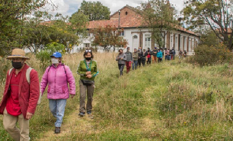 personas caminando por un prado
