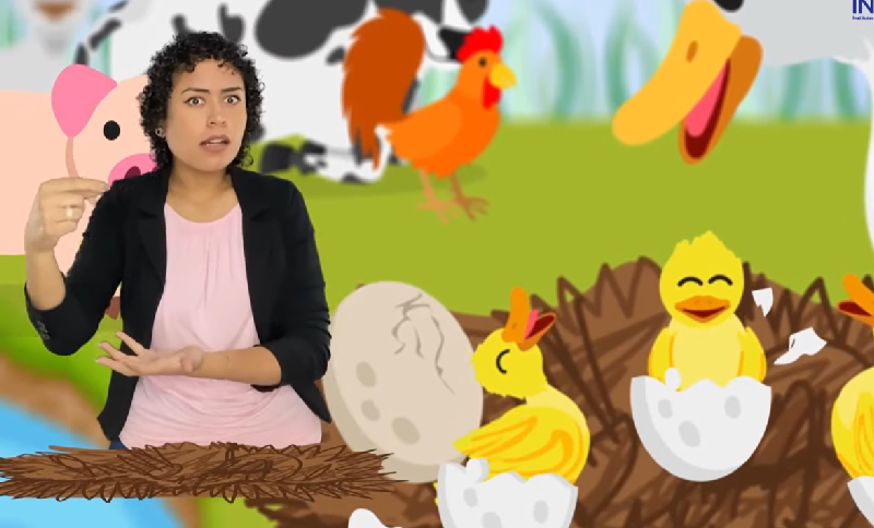 Mujer acompañada de ilustraciones de varios pollitos