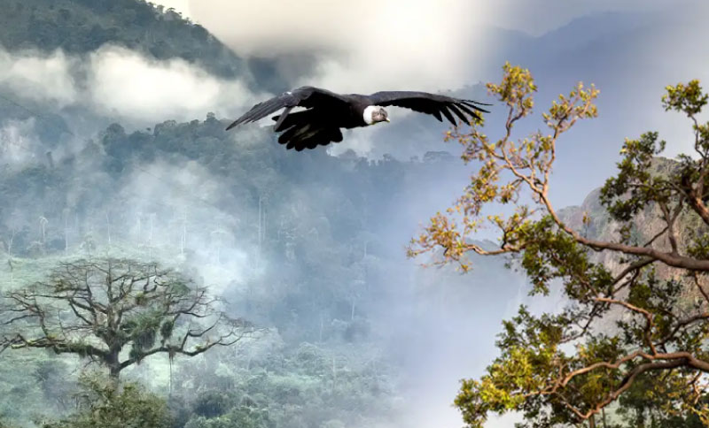 Nueva expo en Maloka: Latidos de Colombia