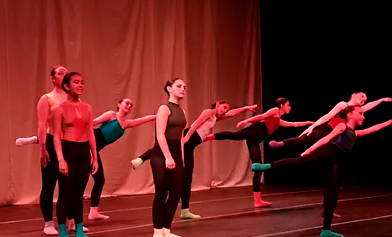 Actores en una obra de Títetes y Teatro Libélula Dorada 