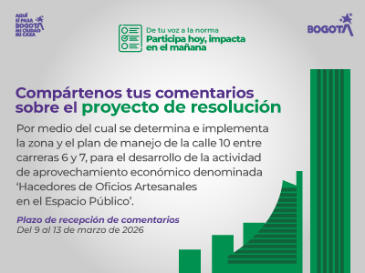  Calle 10 - carreras 6 Y 7 artesanos  durante