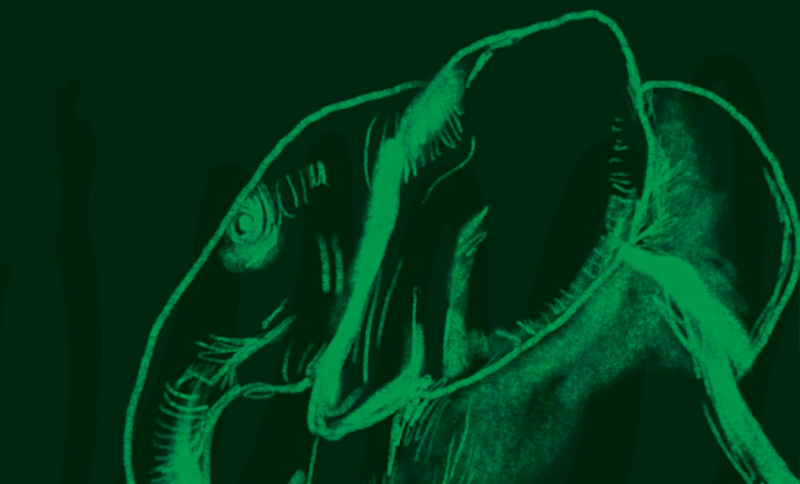 Maloka, escenario del Festival Planet On