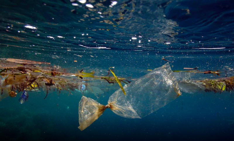 Bolsa de plástico sumergida en el agua