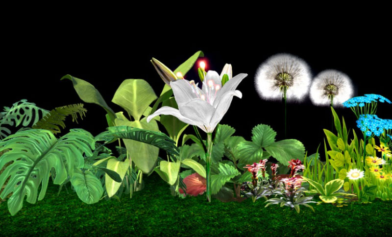 imagen de flores