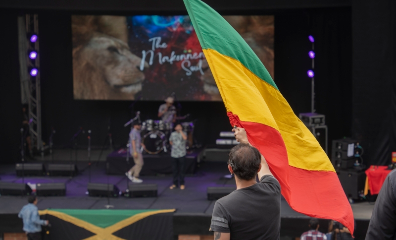 Idartes presenta Rototom Colombia 2025