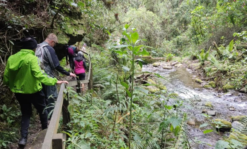 Personas caminando por un sendero ecológico