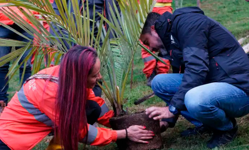 jornada de siembra de arboles